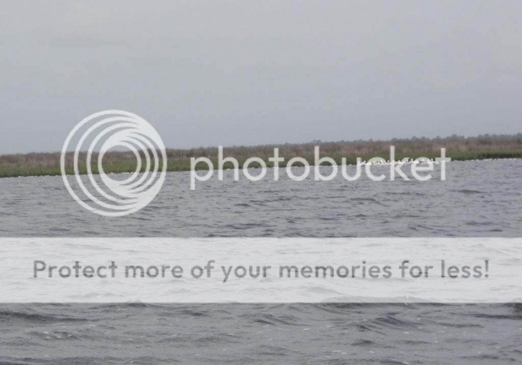 Ecofina-March2012027.jpg