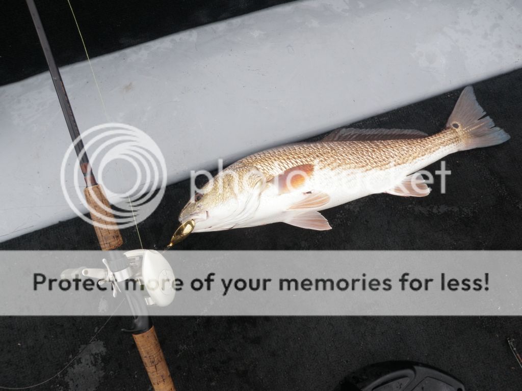 Ecofina-March2012033.jpg