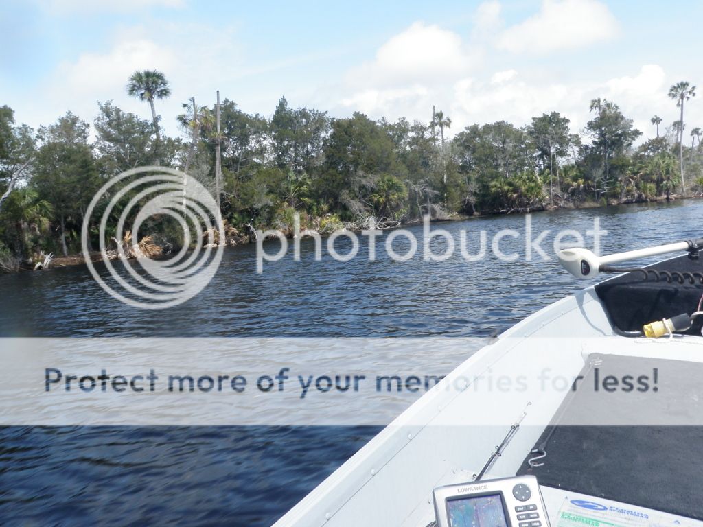 Ecofina-March2012039.jpg
