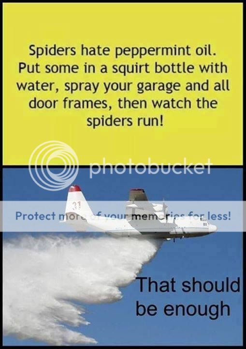 photo 10351102_10152489950851757_7119406435872571307_n.jpg