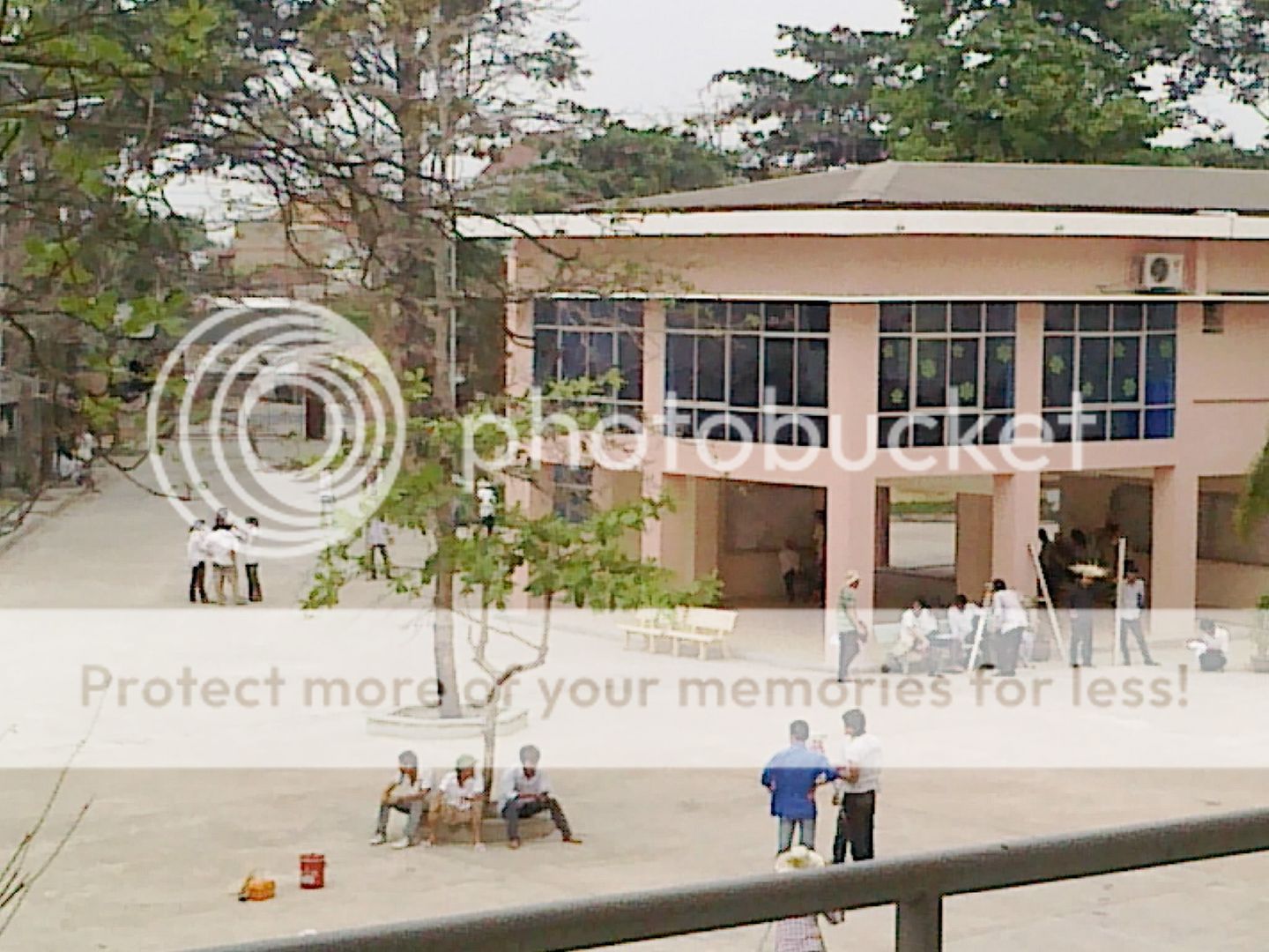 topic về những hình ảnh chụp bằng điện thoại di động - 2