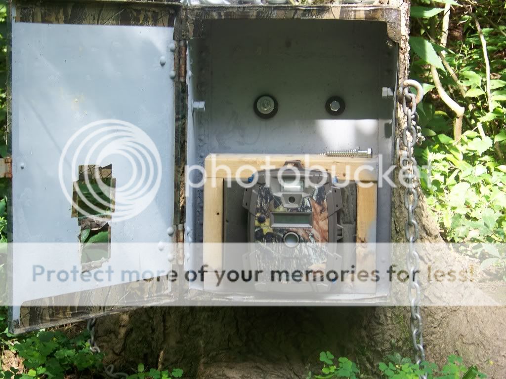 100_0073.jpg?t=1232316859