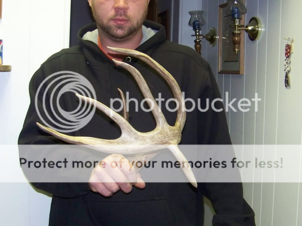 100_0909.jpg?t=1230789276