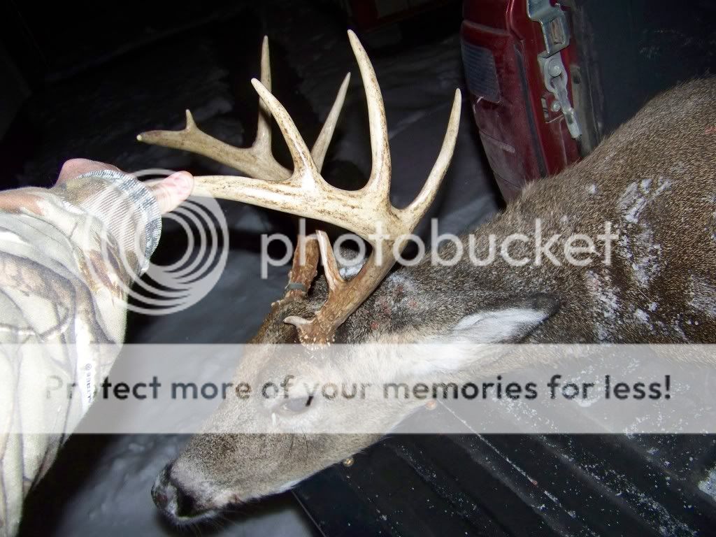 100_3157.jpg?t=1263180057