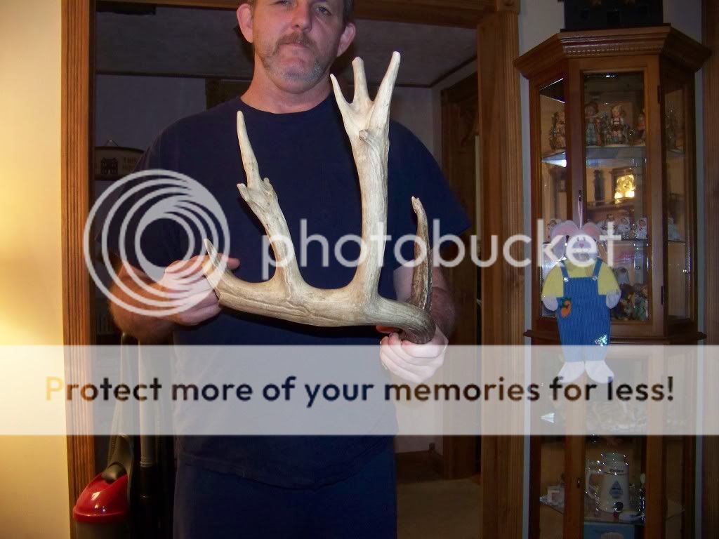 100_4692.jpg?t=1302059125