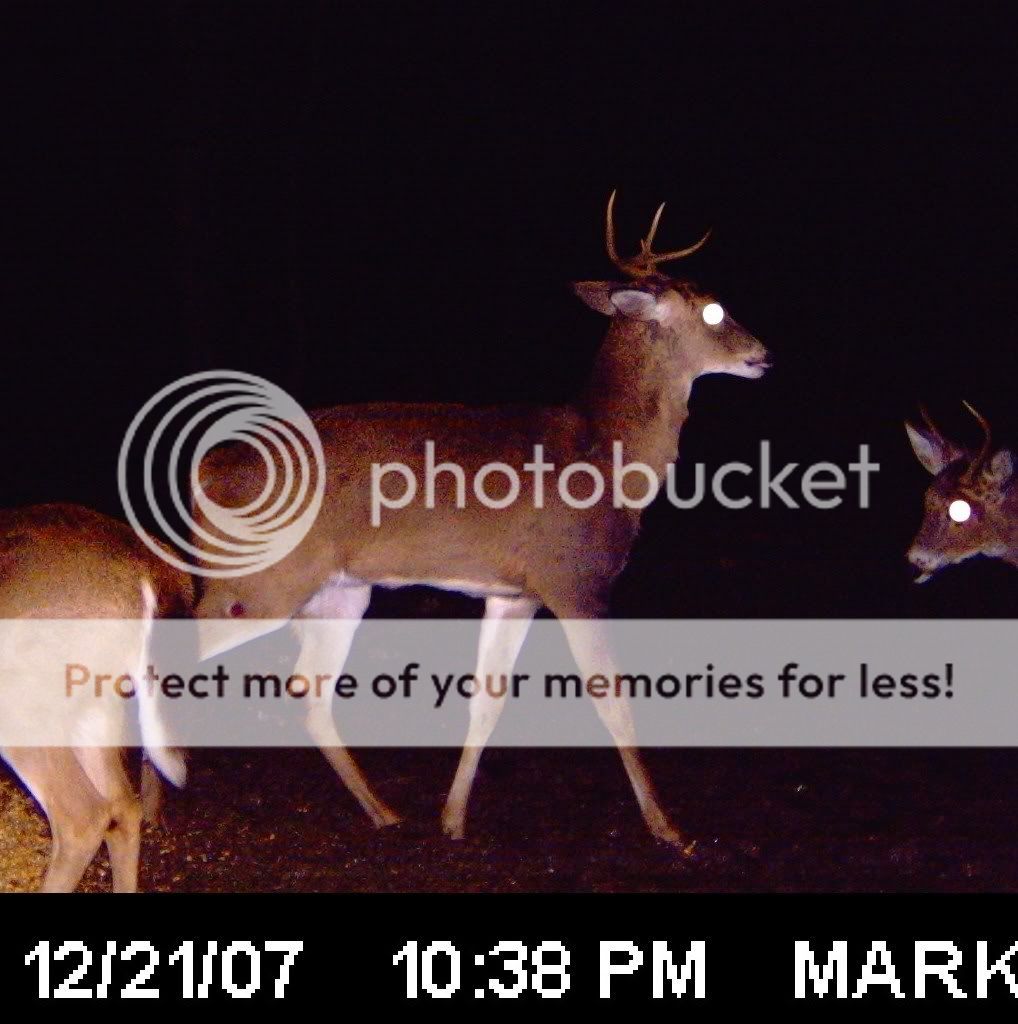 ICAM0017.jpg?t=1232250918