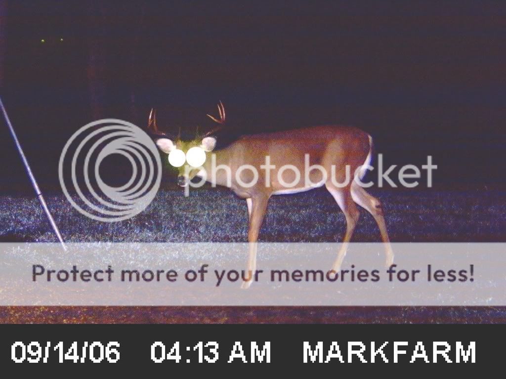 ICAM01000.jpg?t=1232250607