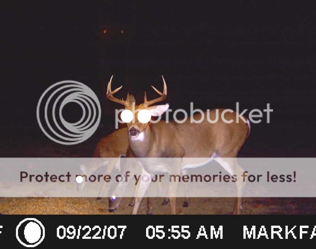 ICAM01001.jpg?t=1232250646