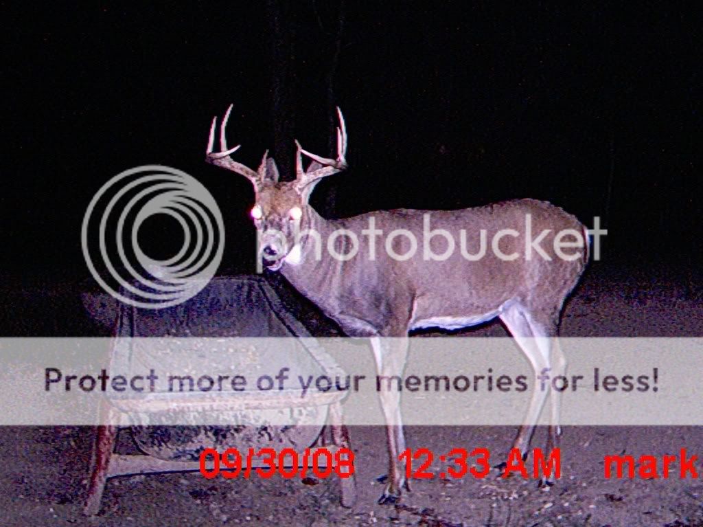 ICAM01002.jpg?t=1232250669