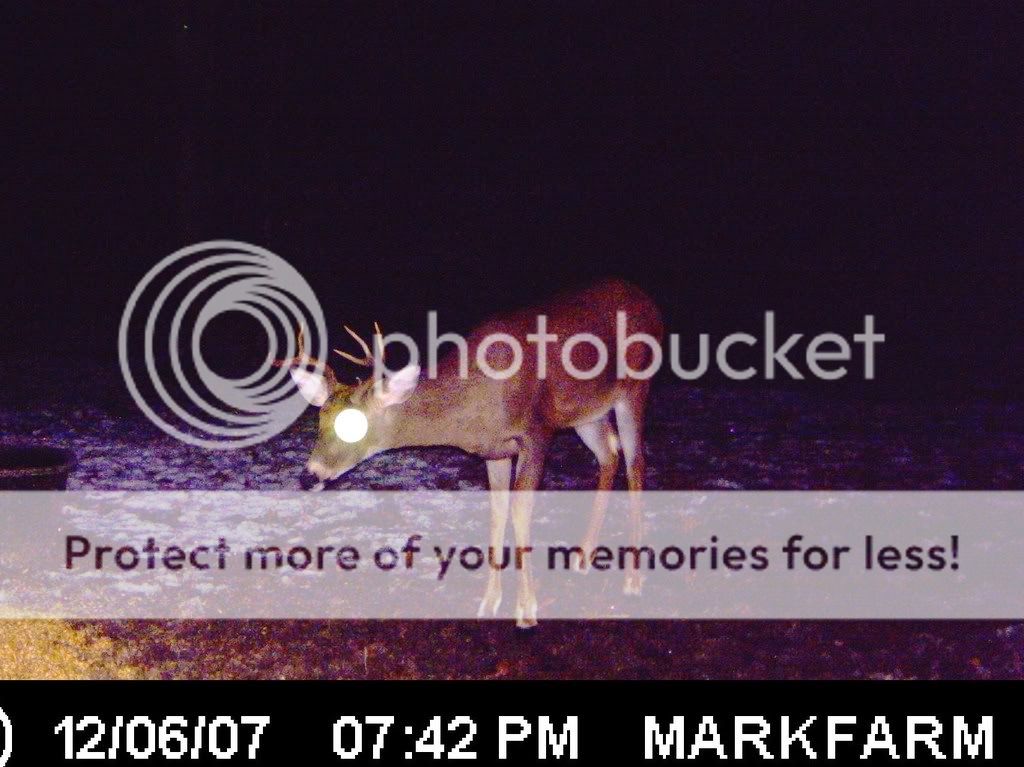 ICAM10008.jpg?t=1232251382