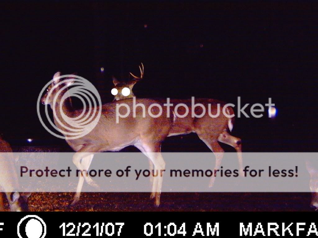 ICAM10029.jpg?t=1232251069