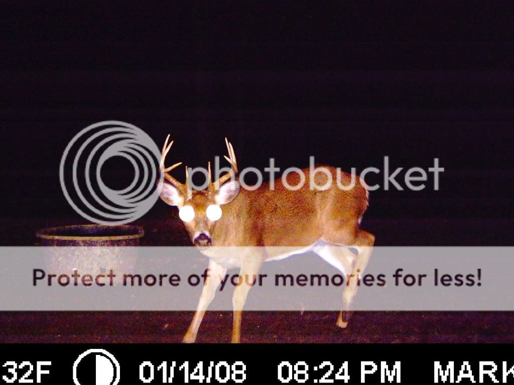 ICAM110052.jpg?t=1232250399