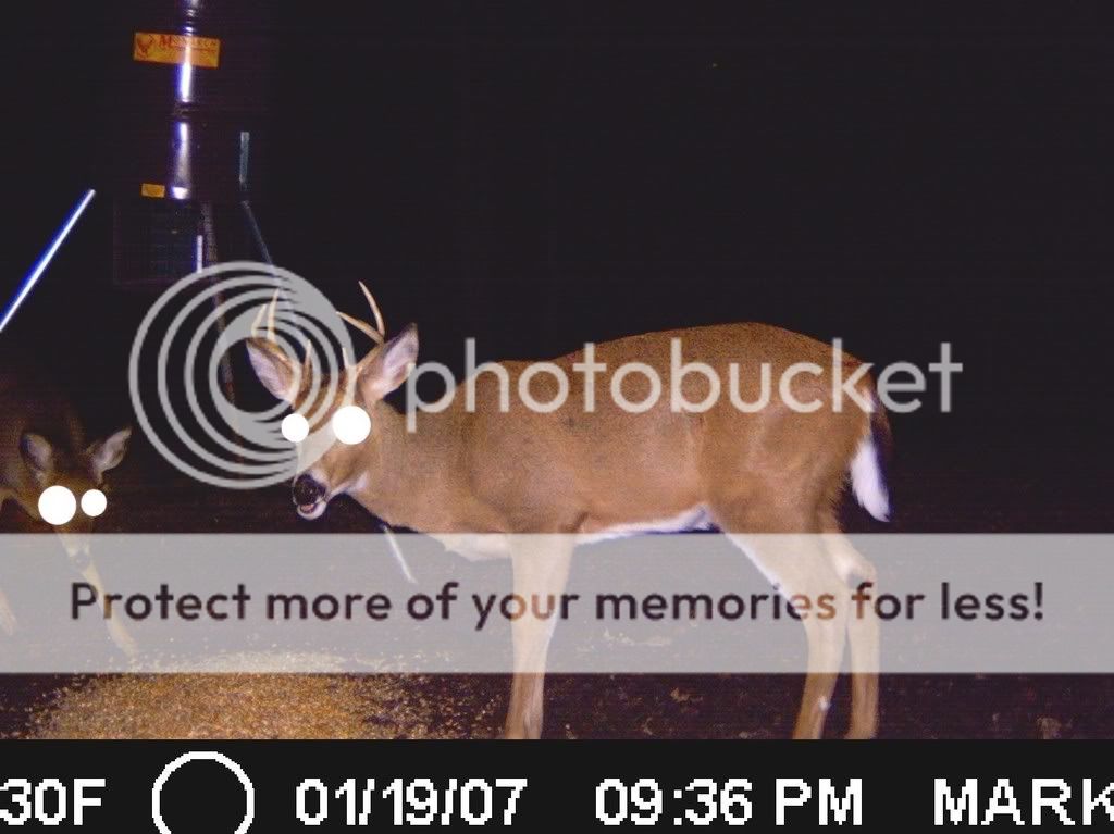 ICAM110054.jpg?t=1232250369