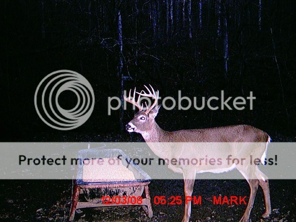 MDGC0012.jpg?t=1228440601