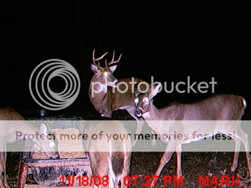 MDGC0015.jpg?t=1228448494