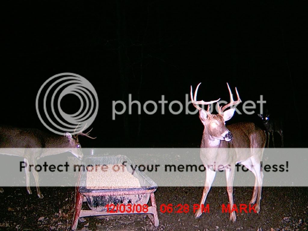 MDGC0017.jpg?t=1228448166