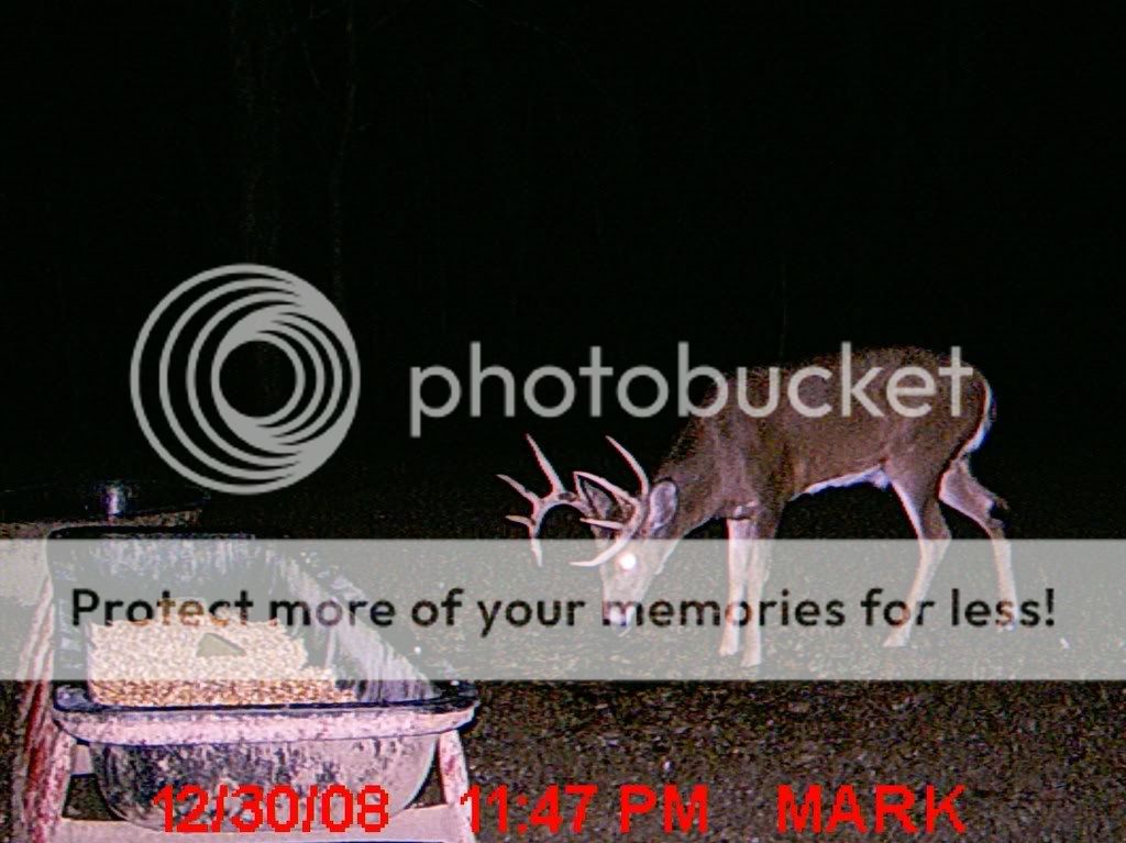 MDGC0057.jpg?t=1230792618