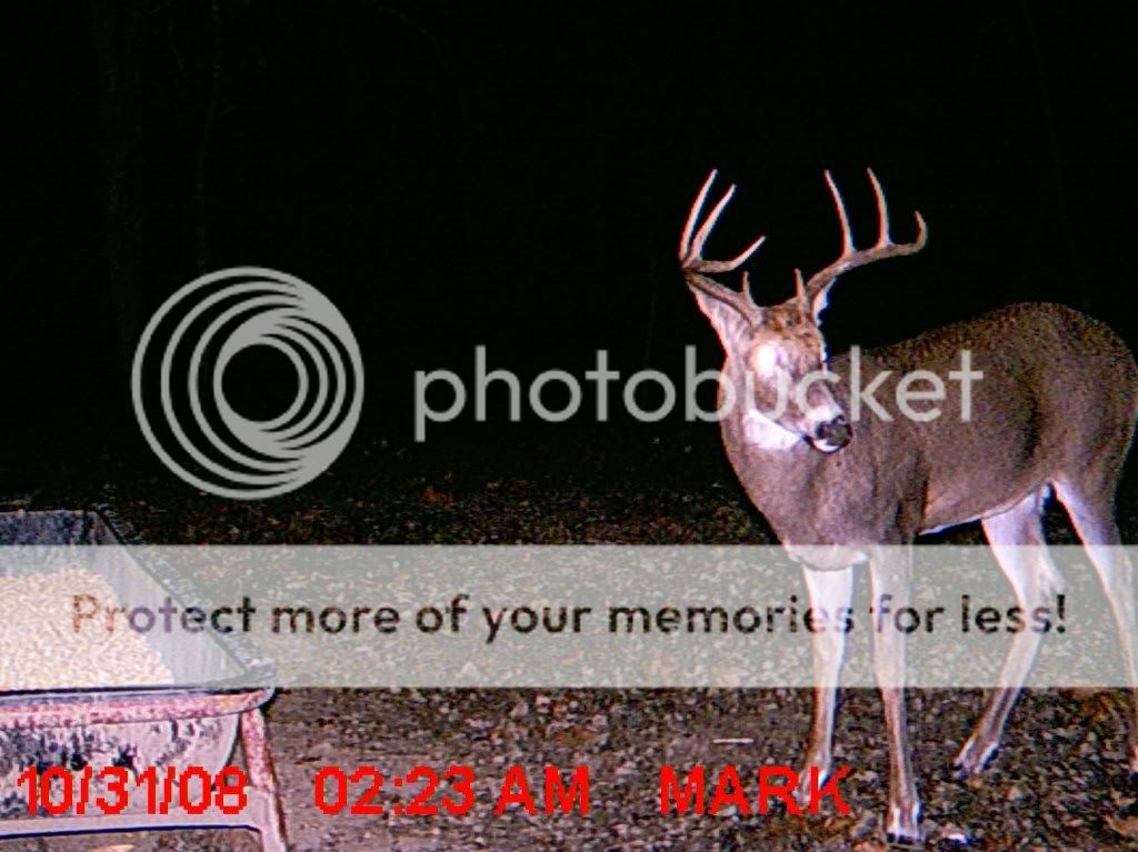 MDGC0061.jpg?t=1228448540