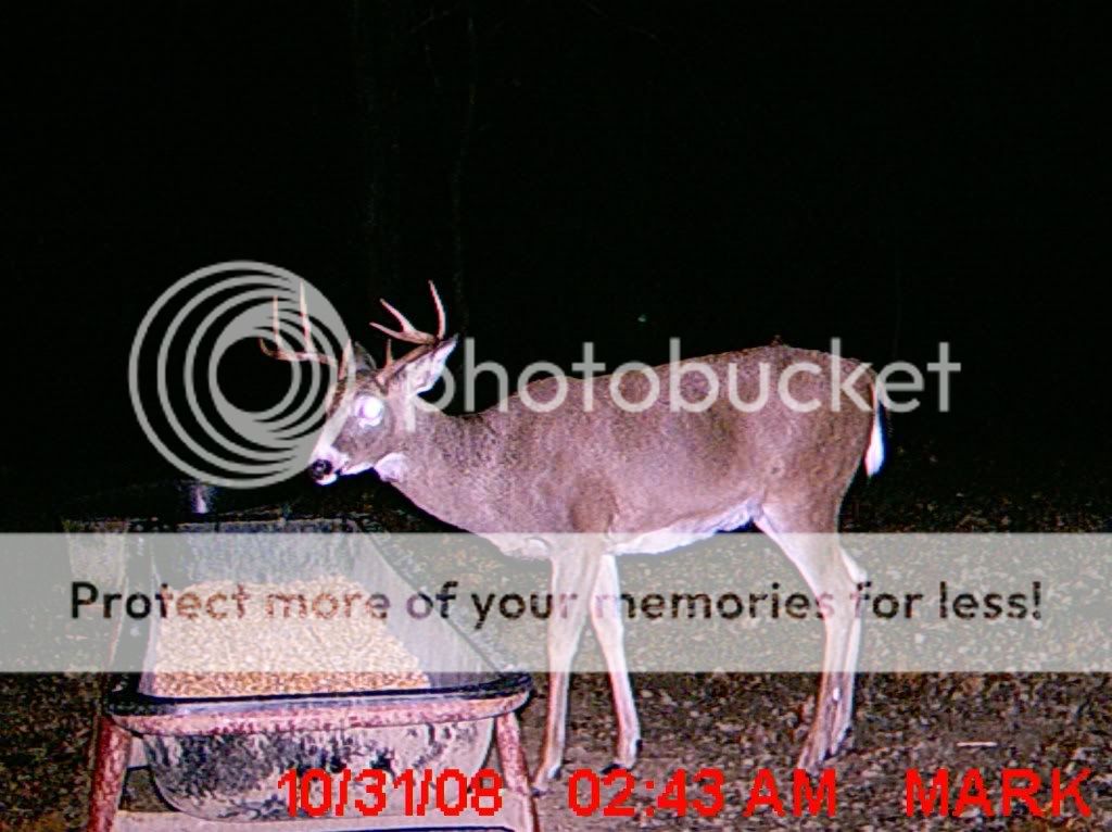 MDGC0063.jpg?t=1228448584