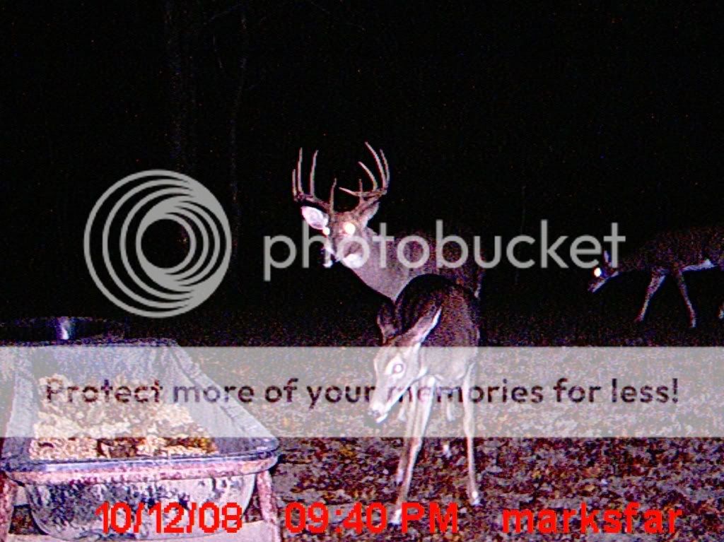 MDGC0069.jpg?t=1230874662