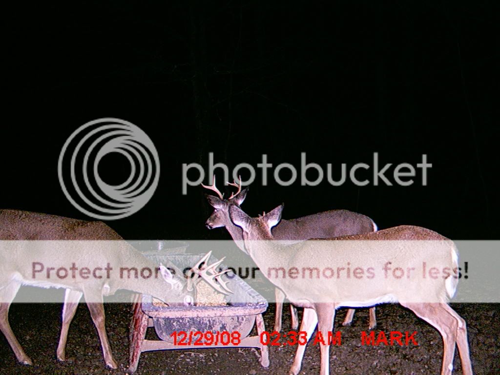 MDGC0076-1.jpg?t=1230789687