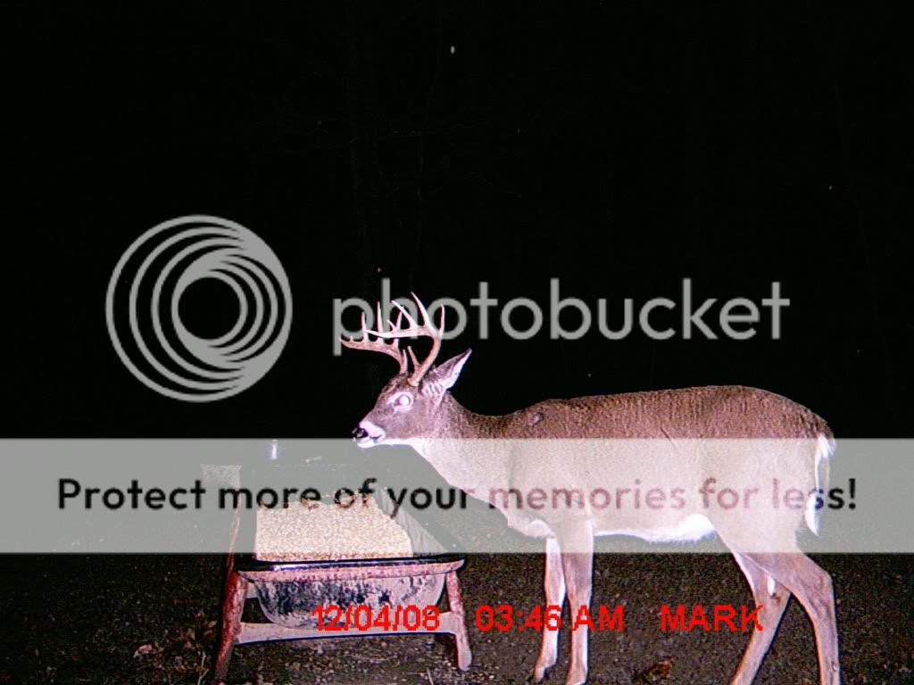 MDGC0078.jpg?t=1228440658