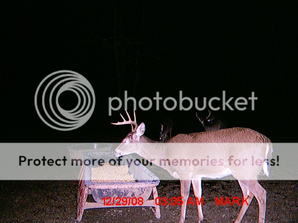 MDGC0079.jpg?t=1230789845