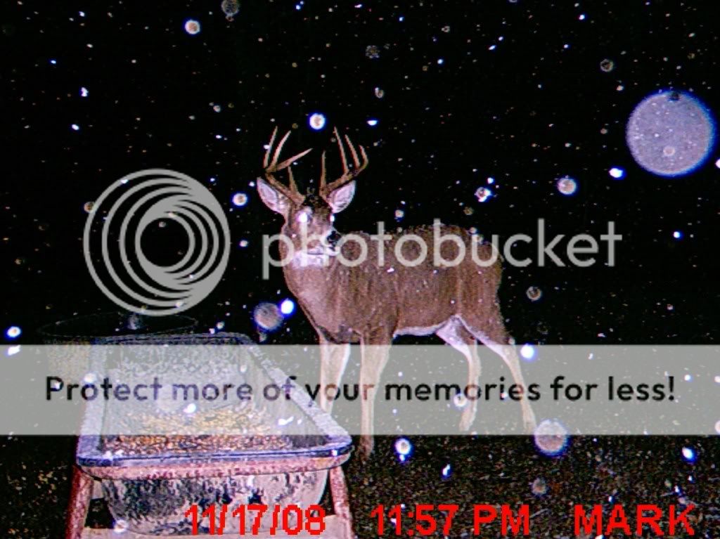 MDGC0128.jpg?t=1228448436