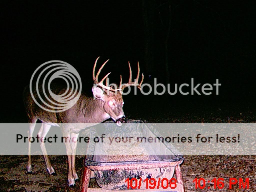 MDGC0188.jpg?t=1230874338