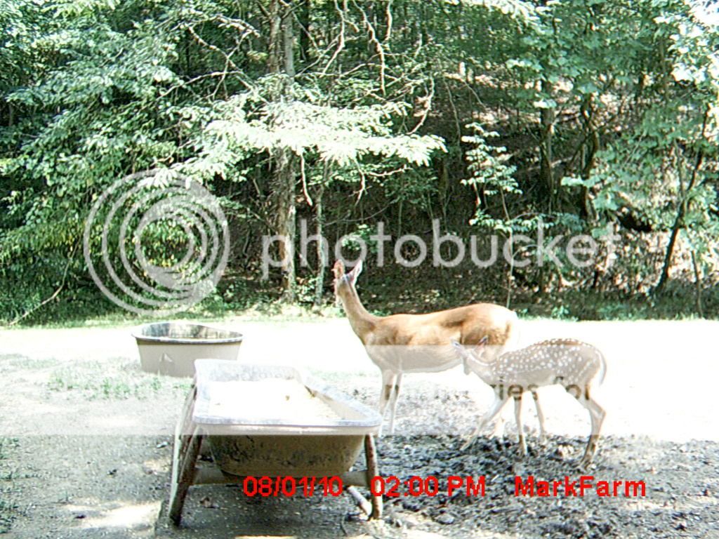 MDGC0250.jpg?t=1280880319