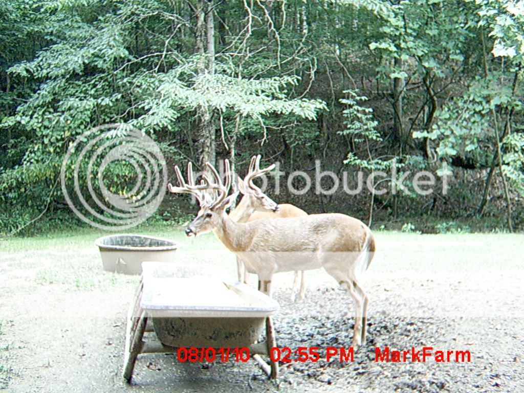 MDGC0261-1.jpg?t=1280880172