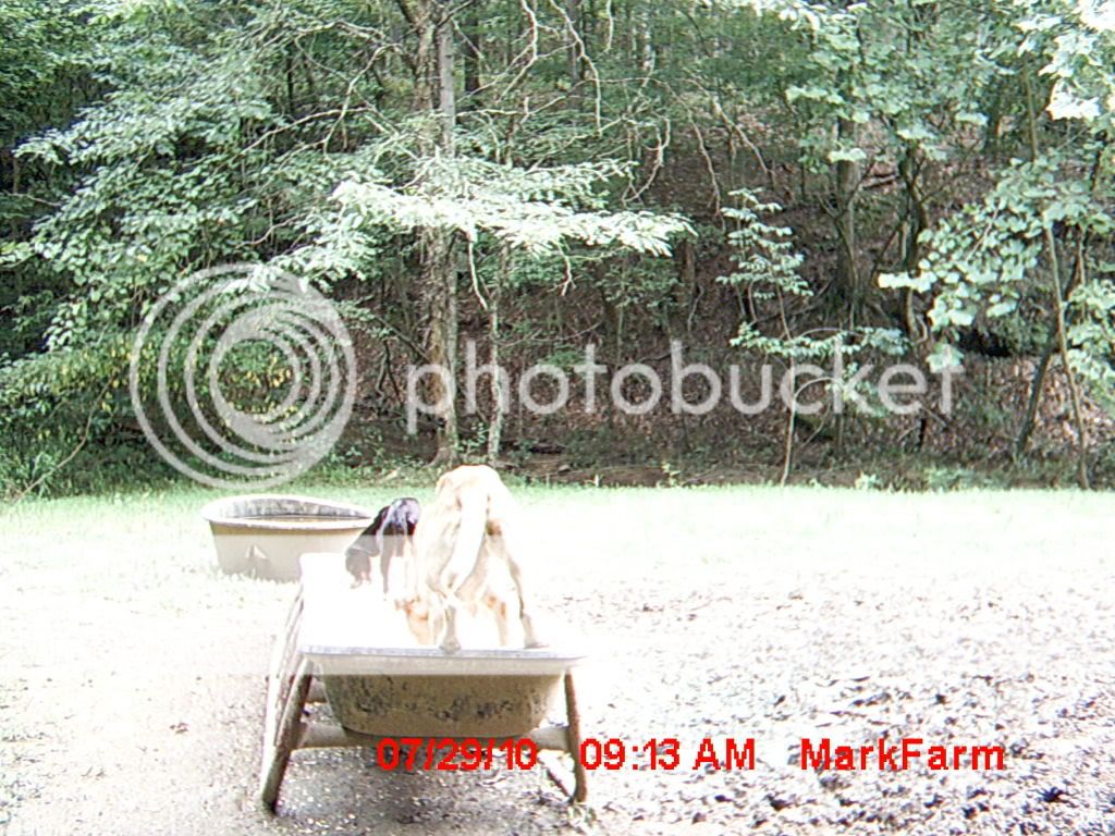 MDGC0266.jpg?t=1280880343