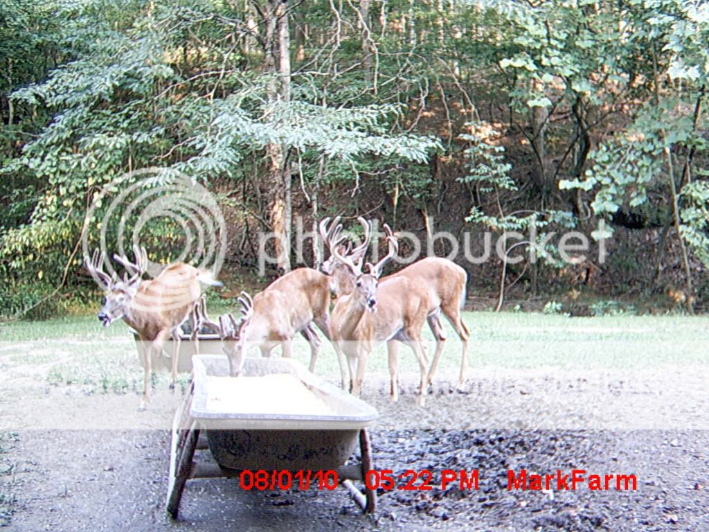 MDGC0274.jpg?t=1280880248