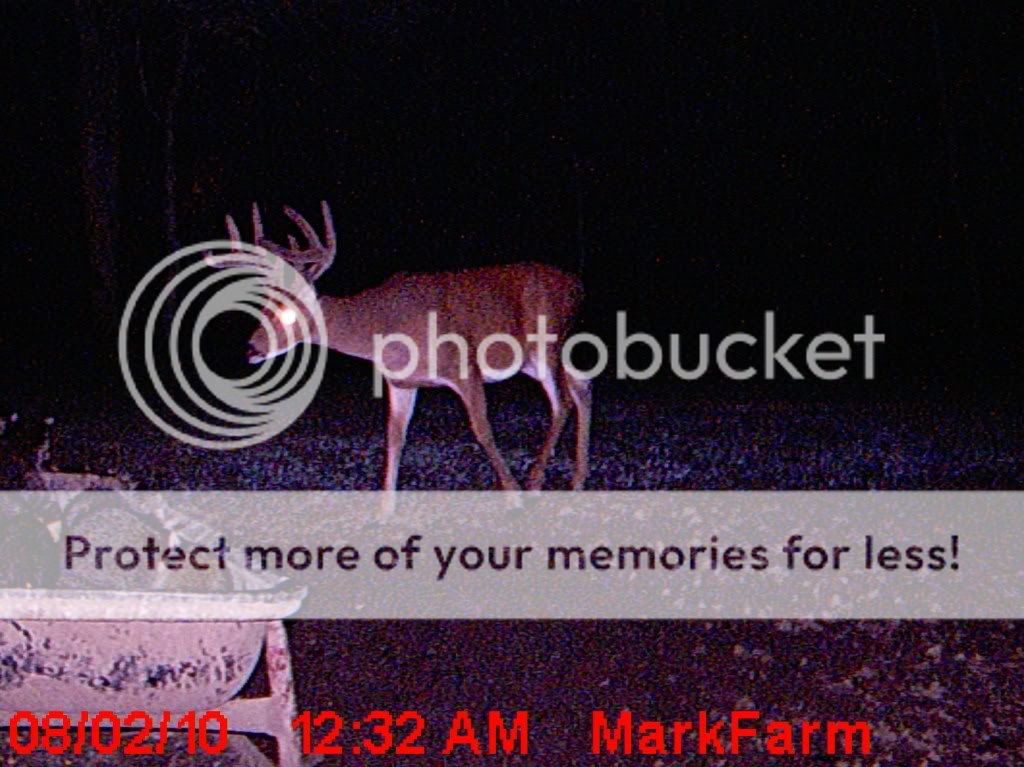 MDGC0338-1.jpg?t=1280880219