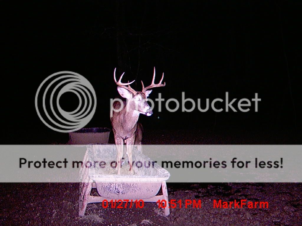 MDGC0371.jpg?t=1264883900