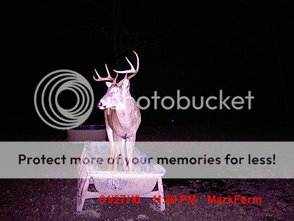 MDGC0386.jpg?t=1264884015