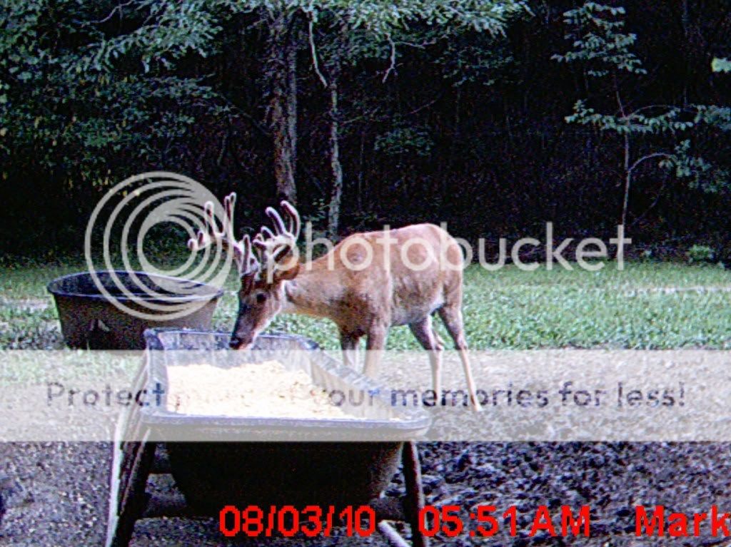 MDGC0530.jpg?t=1280880293