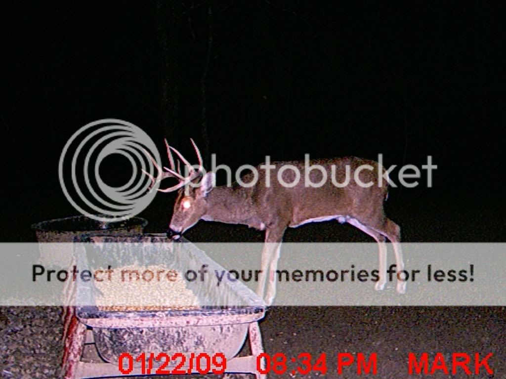 MDGC110038.jpg?t=1232748579