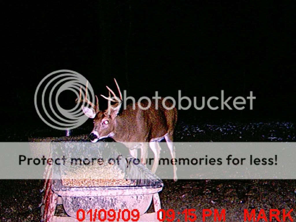 MDGC110135.jpg?t=1232250424