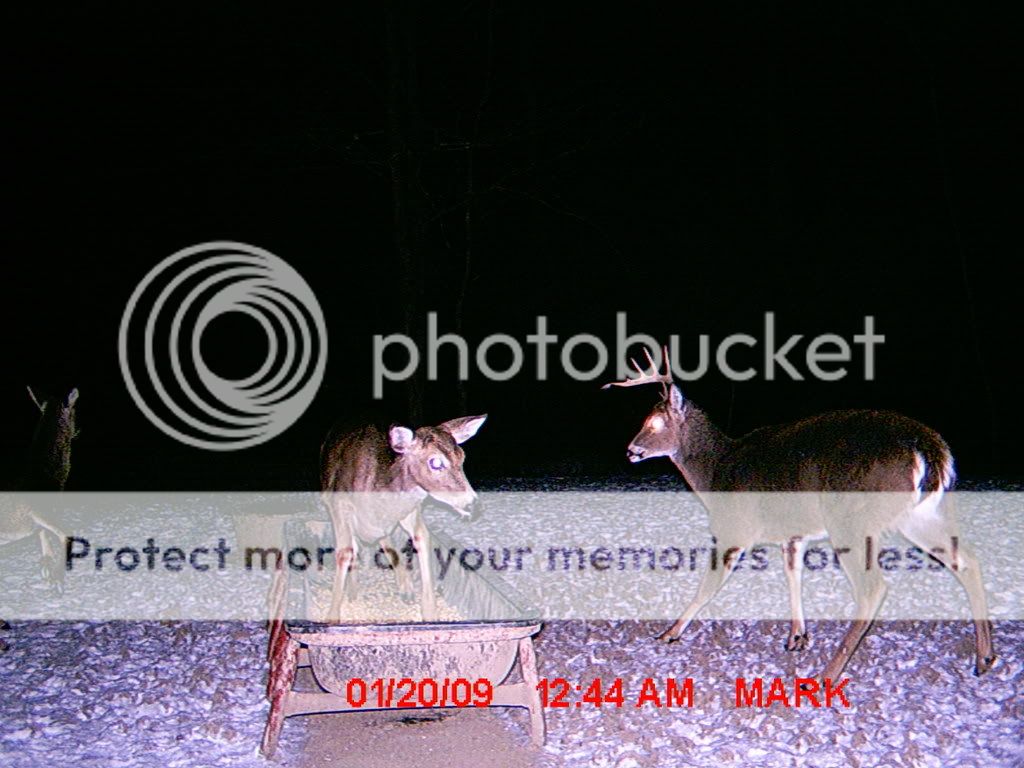 MDGC110143.jpg?t=1232748508