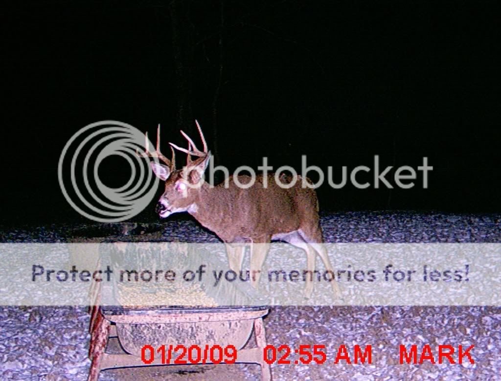 MDGC110168.jpg?t=1232748483