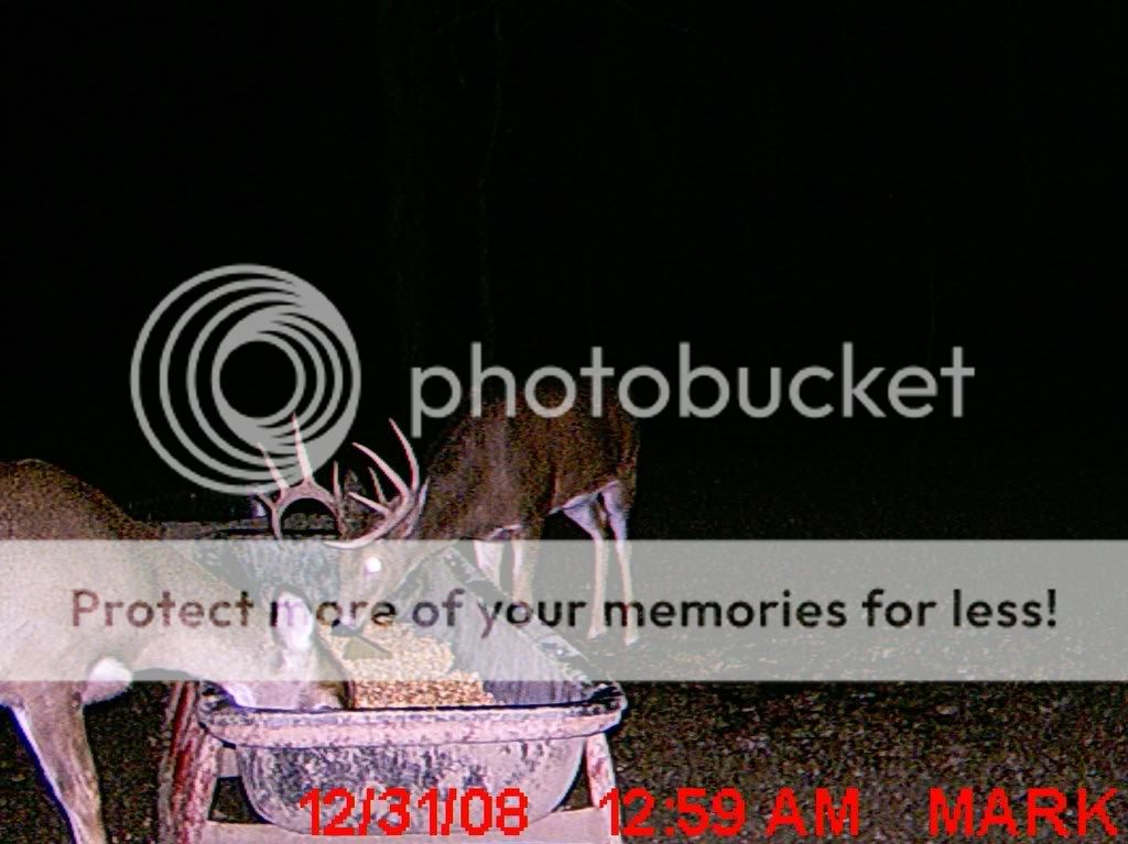 MDGC11064.jpg?t=1230792585