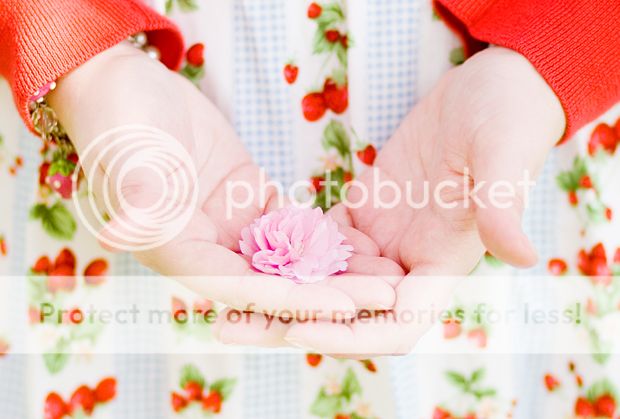 photo dgsgwa.jpg