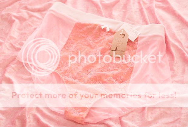 photo fawdwq.jpg