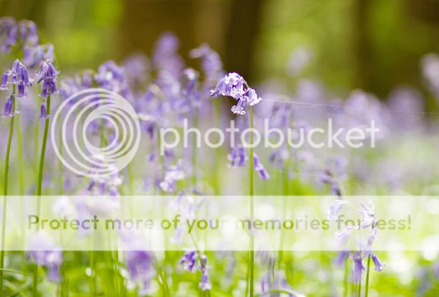 photo fgfjdgj.jpg