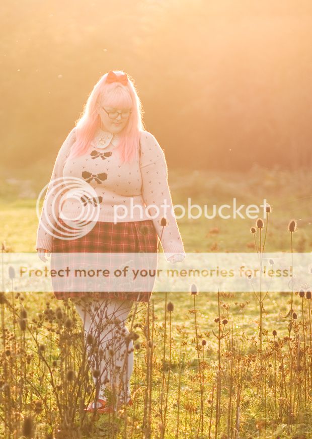 photo fhjrhre.jpg
