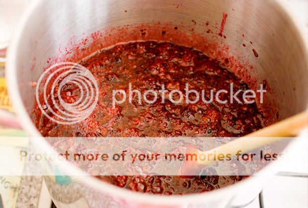 photo jam4.jpg