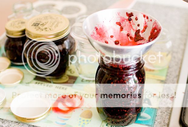 photo jam7.jpg