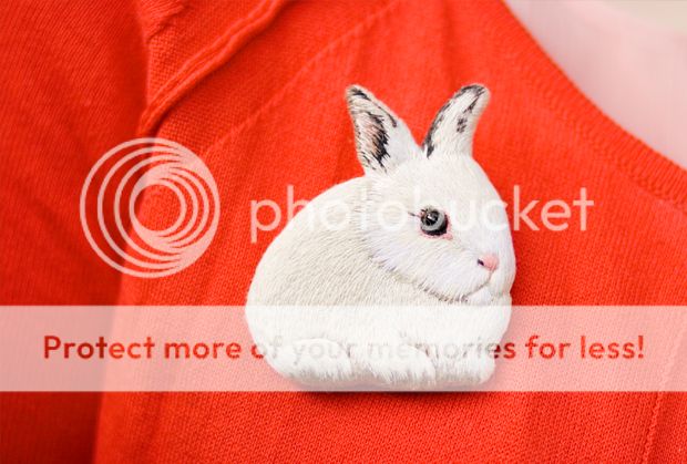 photo rsgresg.jpg