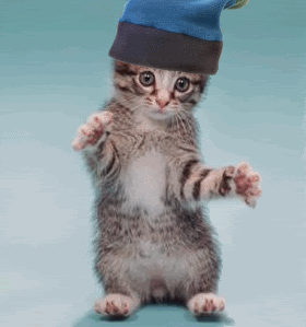 photo 022_zpse66eb36d.gif